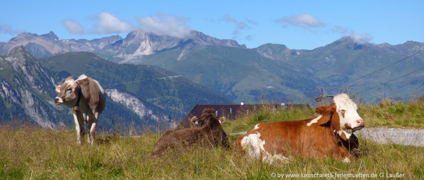 Almhütten Vermietung Bayern Berg Hüttenurlaub in Deutschland Berge & Alpen