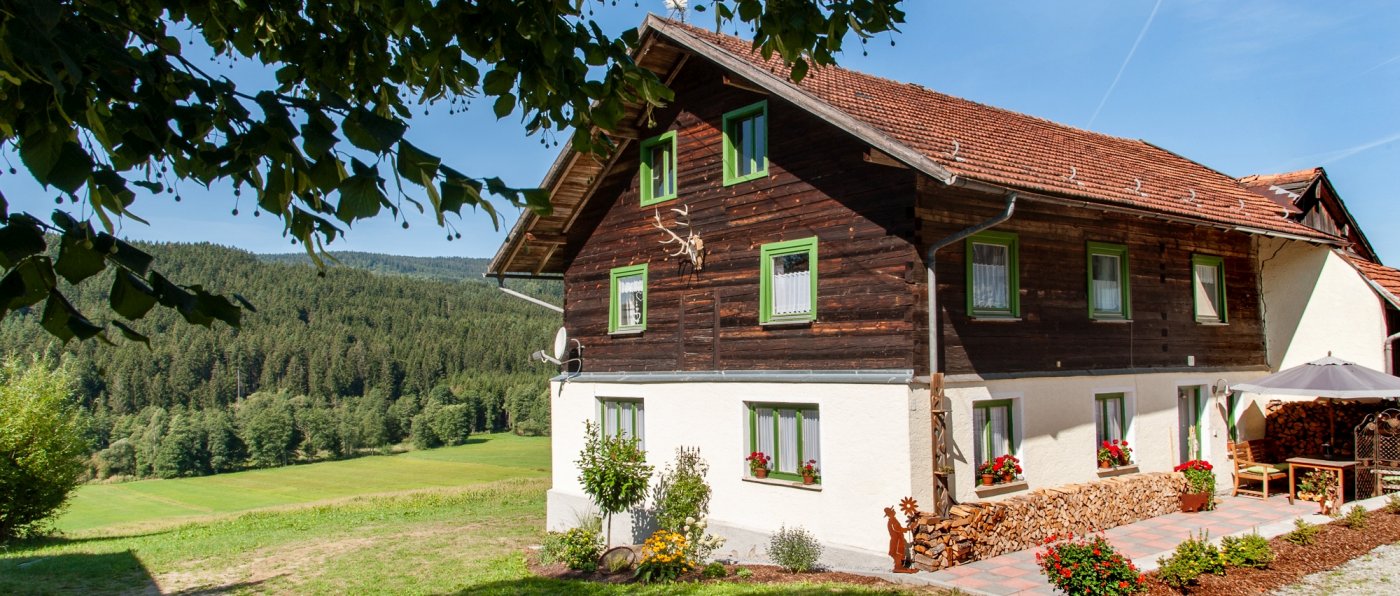 asbachtal-holzferienhaus-bayerischer-wald-bodenmais-aussenansicht