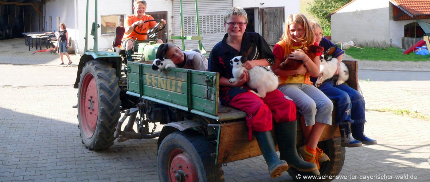 bauernhof-ferienfreizeit-bayern-gruppenfreizeiten-traktor-fahren