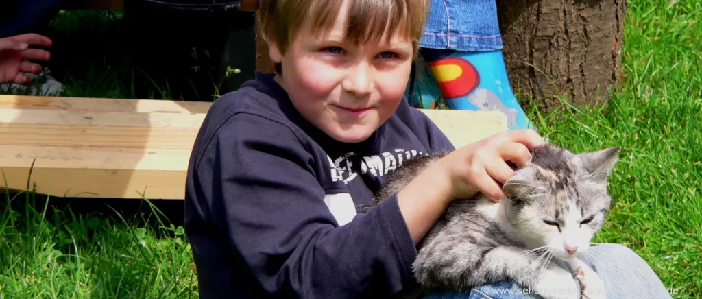 Bayern Kinderbauernhof in Deutschland Tiere Katzen streicheln
