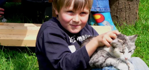 Bayern Kinderhotel in Deutschland Tiere Katzen streicheln