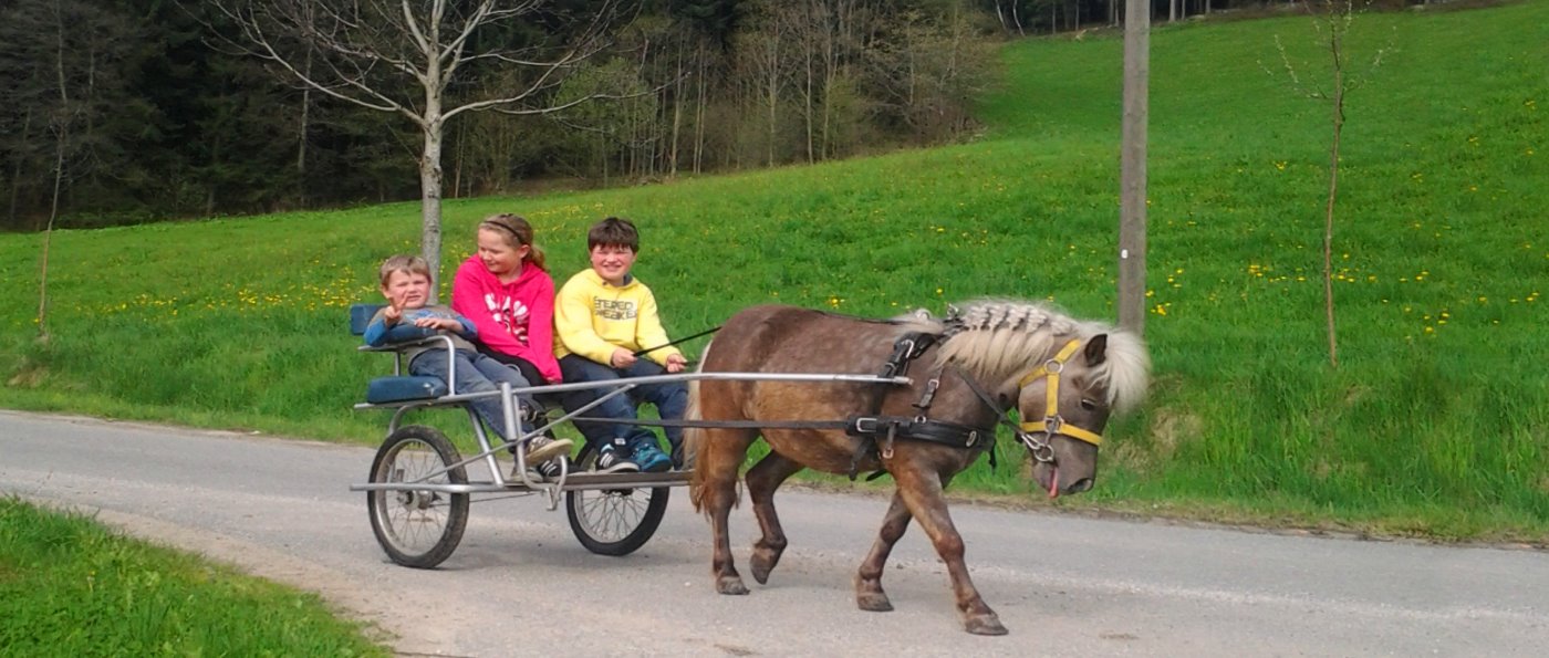 Kinder Urlaub auf dem Bauernhof mit Frühstück oder Halbpension hackerhof-kinder-familienbauernhof-bayerischer-wald-reiterferien
