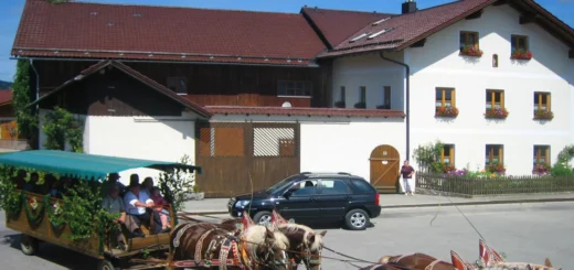 kroner-bayerischer-wald-kleinkinder-bauernhof-urlaub-bayern-ferienhaus