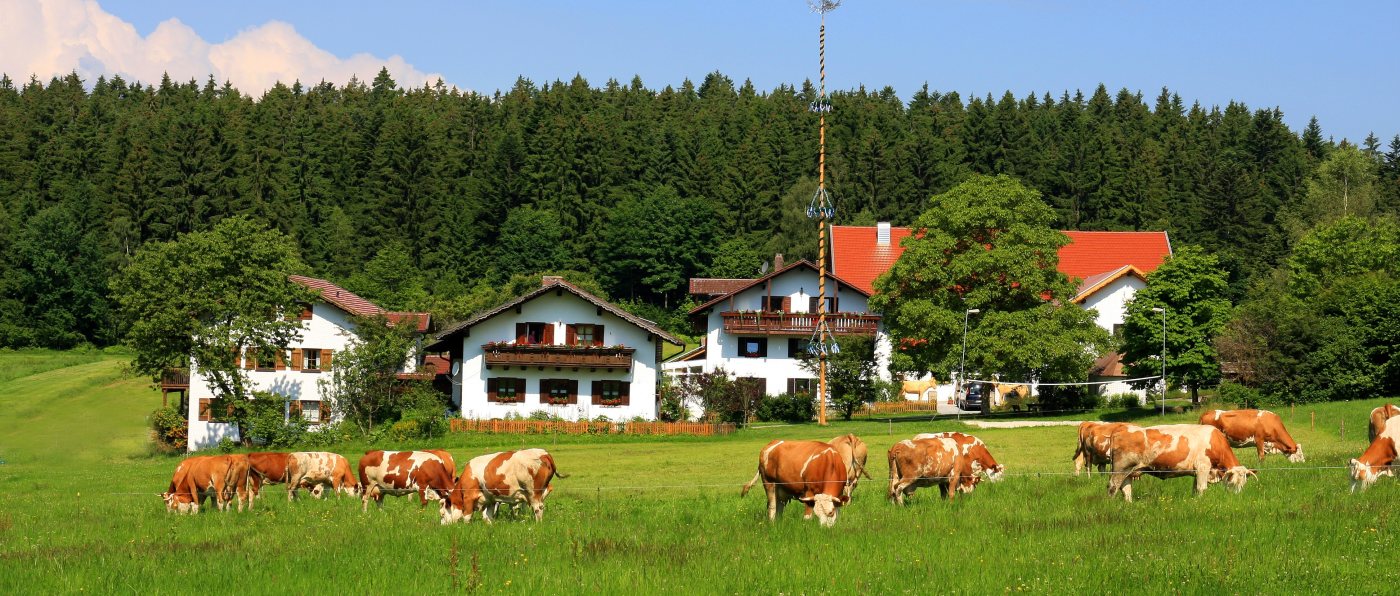wieshof-bayerischer-wald-bauernhofurlaub-bayern-ferienhaus-ansicht